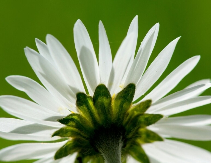 Программа «Антистресс» - Санаторий «Озеро Белое»