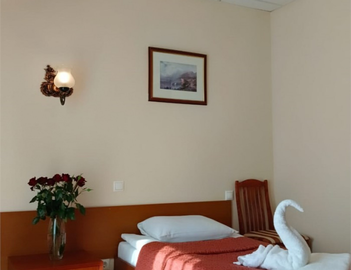 Одноместный стандарт - Санаторий «Озеро Белое»